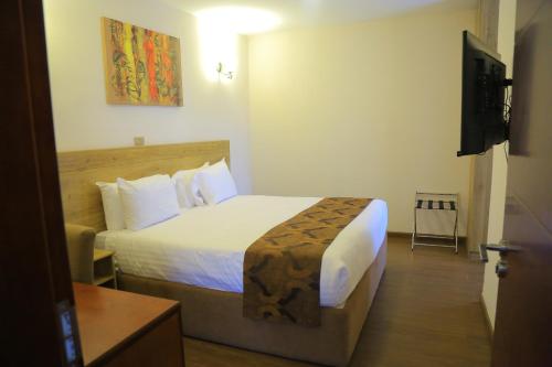 a hotel room with a bed and a television at Black Horse Hotel in Addis Ababa