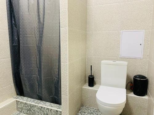 a bathroom with a toilet and a shower at Квартира in Almaty