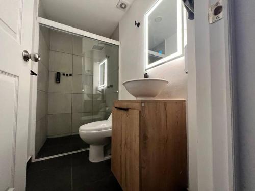 een badkamer met een wastafel, een toilet en een douche bij Rooftop & central Apartment in Mexico-Stad