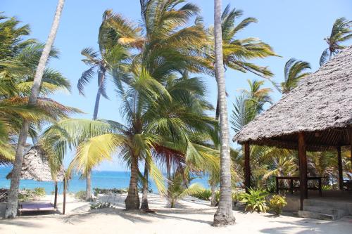 a group of palm trees on a beach with the ocean at Ocean Dream Villa in Ushongo Mabaoni