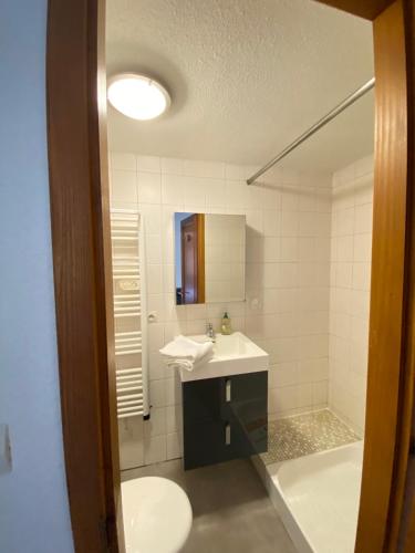 een badkamer met een wastafel, een toilet en een spiegel bij "Là-haut" free parking in Trois-Épis