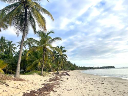 uma praia com palmeiras e o oceano em Ocean Dream Villa em Ushongo Mabaoni
