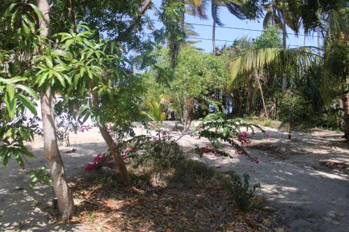 um jardim com palmeiras e flores cor-de-rosa em Ocean Dream Villa em Ushongo Mabaoni