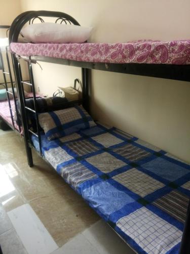Ce lit se trouve dans un dortoir doté de 2 lits superposés et de tapis bleus. dans l'établissement Dubai naif street Al nakhal, à Dubaï
