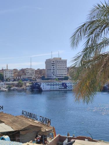 a view of a river with a city in the background at Jamaica Guest House in Aswan