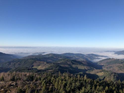 a view of the mountains from the top at Ferienwohnungen Golla-lang in Oberharmersbach