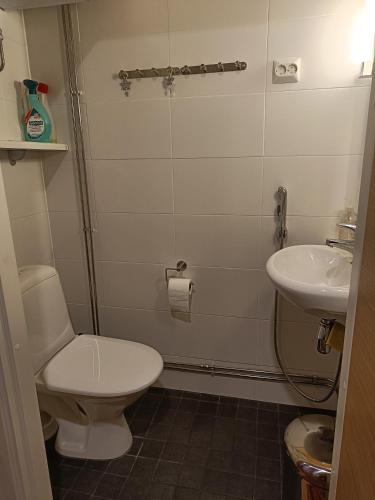 Bilik mandi di Ylläs Chalet 8107