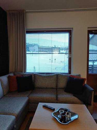 Ruang duduk di Ylläs Chalet 8107