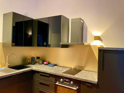 une cuisine avec des armoires en acier inoxydable et un évier dans l'établissement Appartement Haut de Gamme, Balnéo/ Balcon/ Garonne, à Toulouse