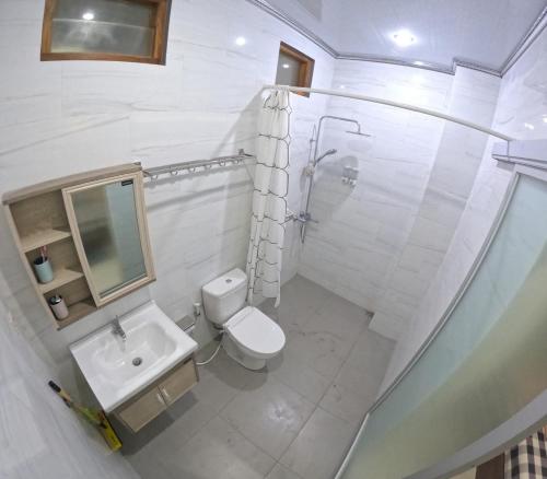 a white bathroom with a toilet and a sink at Omah Nogotirto Homestay Jogja in Ngingas