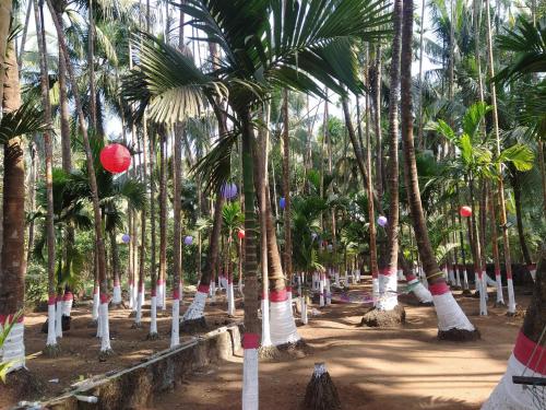 Subham holidays homes – Photos 3