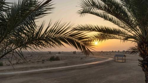 Bab Al Shams, A Rare Finds Desert Resort, Dubai — Beach