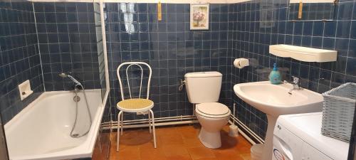 La salle de bains est pourvue de carrelage bleu, de toilettes et d'un lavabo. dans l'établissement Gîte les Marronniers, à Villemade