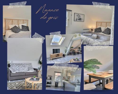 een collage van foto's van een woonkamer en een slaapkamer bij Nuance de gris ~ Hyper centre ~ Mon Groom in Troyes