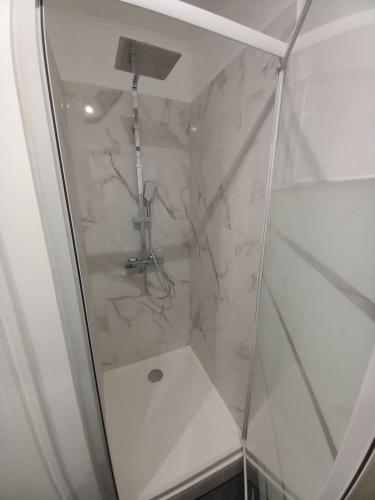 y baño con ducha y puerta de cristal. en Chambre d'hôtels, en Champeix