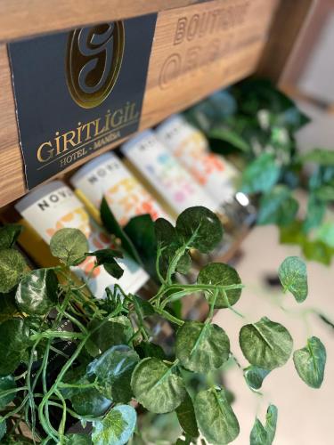 a plant sitting next to a box of cigarettes at Giritligil Hotel in Manisa