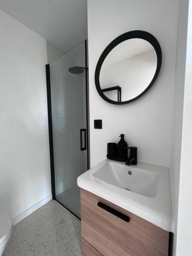une salle de bain avec un lavabo et un miroir dans l'établissement Nîmes centre Superbe studio, à Nîmes