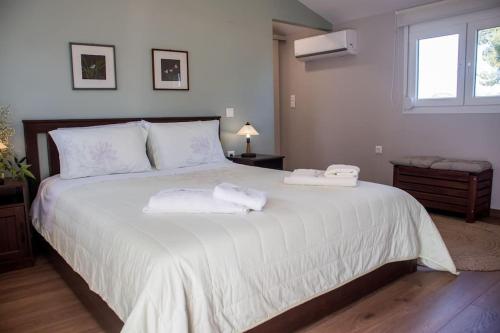 Orange Blossom Luxury House