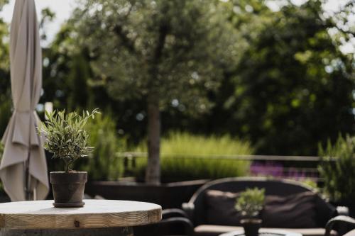 a wooden table with two potted plants on it at Hotel Das Stachelburg in Parcines