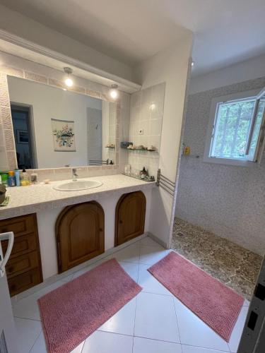une salle de bain avec un lavabo et un miroir dans l'établissement Villa Provencale au bord de mer, à Martigues