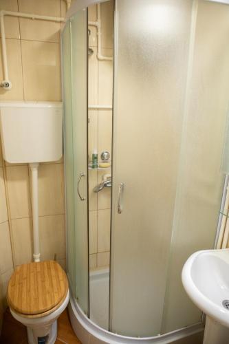 a bathroom with a shower with a toilet and a sink at Tarushka house in Rača