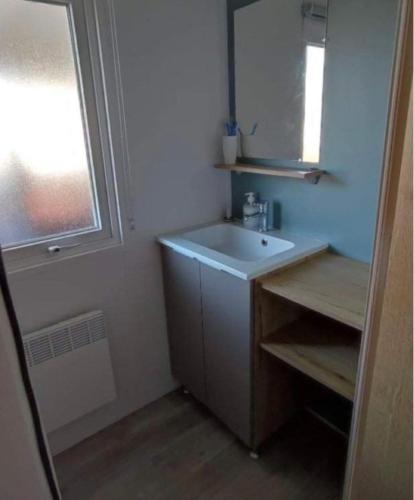 une salle de bain avec un lavabo et un miroir dans l'établissement Les dunes de contis, à Saint-Julien-en-Born