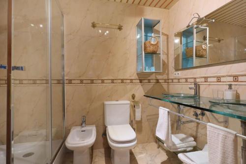 a bathroom with a toilet and a shower and a sink at Posada La Judería I in Córdoba