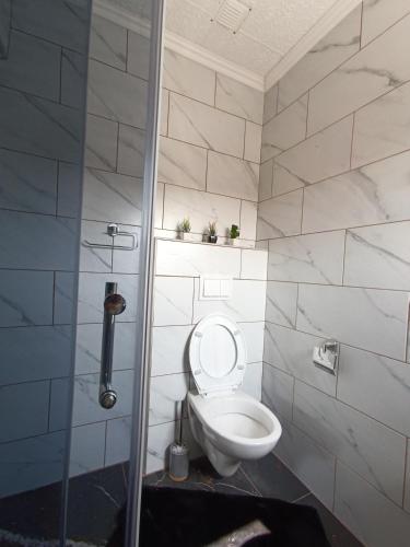 a bathroom with a toilet and a shower at Jacuzzy Rooms Andjela in Subotica