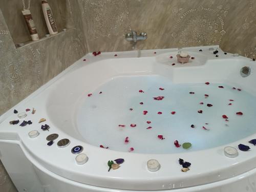 a bath tub filled with lots of petals at Jacuzzy Rooms Andjela in Subotica
