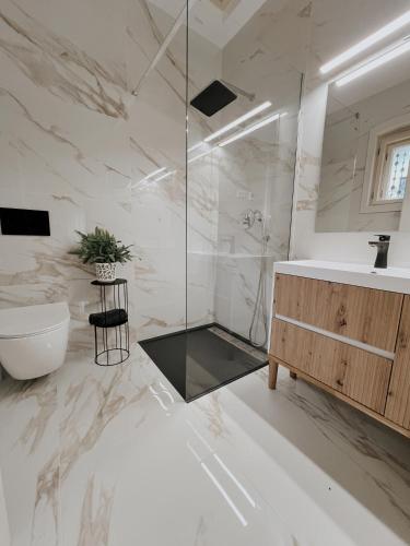 a bathroom with a shower and a toilet and a sink at Verte House in Alba Iulia