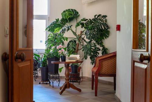 Zimmer mit einem Tisch mit Pflanzen und einem Stuhl in der Unterkunft Primavera 2 Hotel in Pasardschik