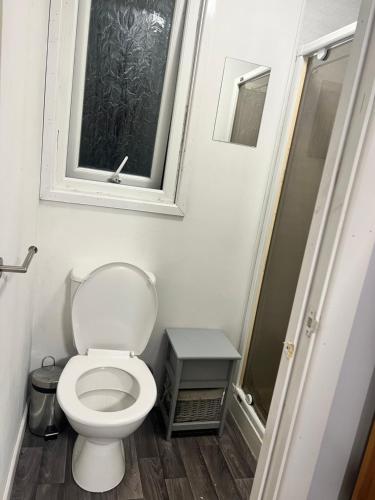 uma pequena casa de banho com um WC e uma janela em Private cabin, own access & ensuite em Belfast