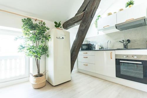 Il comprend une cuisine équipée d'un réfrigérateur blanc et de plantes en pot. dans l'établissement Immeuble L'Aristocrate - Le Boho- Bd Carnot, à Angers