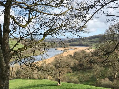 a tree in a field with a river in the background at The Totnes Guest House. Upstairs at Zappa's in Totnes