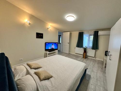 a bedroom with a large bed and a television at Interbelic house with courtyard and terrace in Bucharest