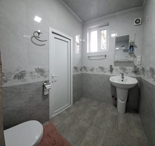 ein Bad mit einem WC und einem Waschbecken in der Unterkunft Kutaisi City Heart Apartment in Kutaissi