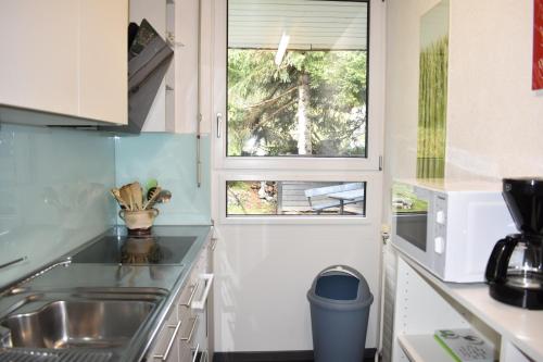 a small kitchen with a sink and two windows at Gentiana (463 Li) 4-ZW in Valbella