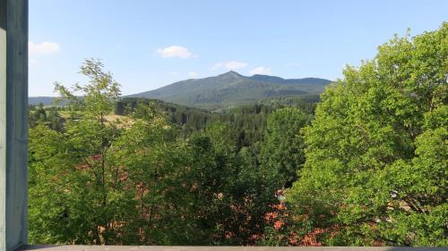 a view of trees and mountains from a window at Appartementhaus Osserblick in Lohberg