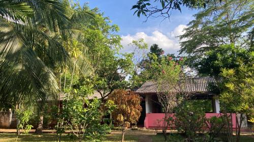 a house in the middle of a garden with trees at Kandalama Hostel in Dambulla