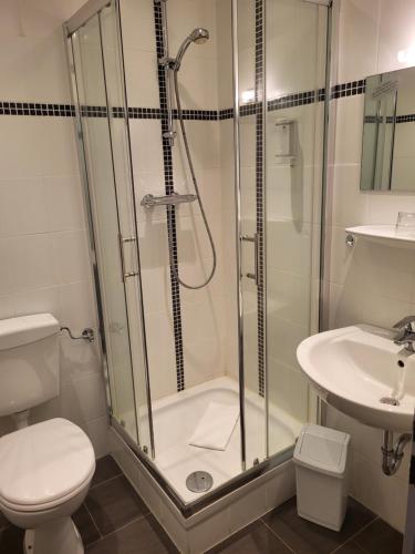 a bathroom with a shower and a toilet and a sink at Bootshaus in Bedekaspel