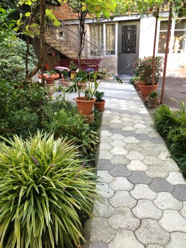 a garden with potted plants and a walkway at Kutaisi City Heart Apartment in Kutaisi
