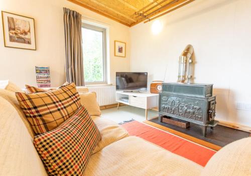 a living room with a couch and a stove at Y Caban - Cosy Cabin in Pembrokeshire in Saint Dogmaels