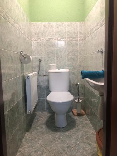 a bathroom with a white toilet and a sink at U Fousáče in Hrabětice