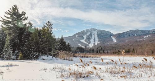 a snow covered field with a mountain in the background at Hôtel Expérience - Quartier Des Marinas in Magog-Orford