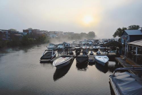 a group of boats are docked in the water at Hôtel Expérience - Quartier Des Marinas in Magog-Orford