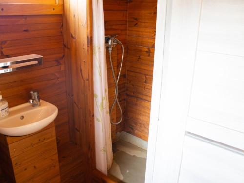 a bathroom with a sink and a shower at Holiday Home Kemp Stříbrný rybník-6 by Interhome in Hradec Králové