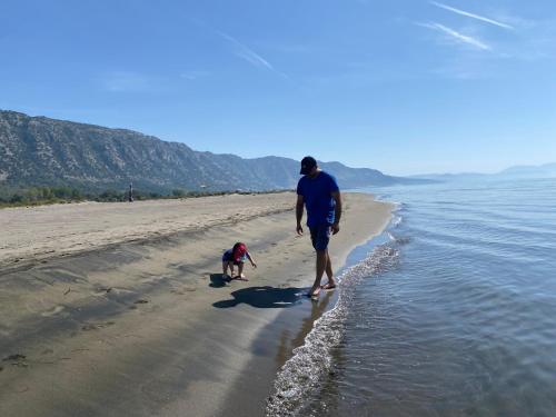 un homme et un chien se promenant sur la plage dans l'établissement Vila Horizont, à Baks-Rrjoll