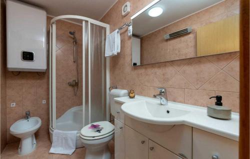 ein Bad mit einem Waschbecken, einem WC und einer Dusche in der Unterkunft Villa Lilly in Višnjan