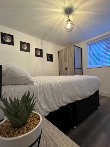 a bedroom with a bed and a potted plant on a table at One Bedroom Apartment in Luton Town Centre in Luton