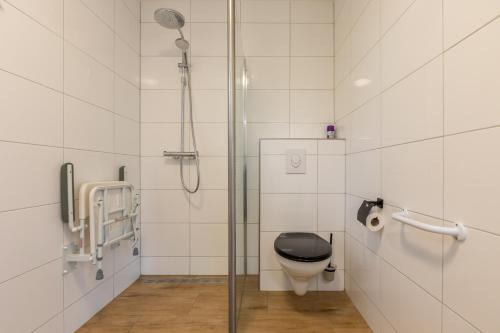 a bathroom with a toilet and a glass shower stall at Welcome in - Vakantiehuis - Achterweg 10 Zonnemaire ' Sol e Mar' in Zonnemaire